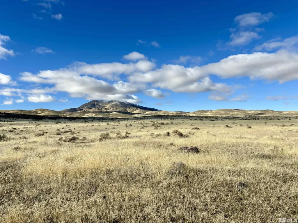 41.93 Acres Sierra Pass Winnemucca NV 89445