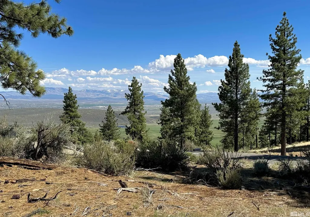 220 Overlook Carson City NV 89705