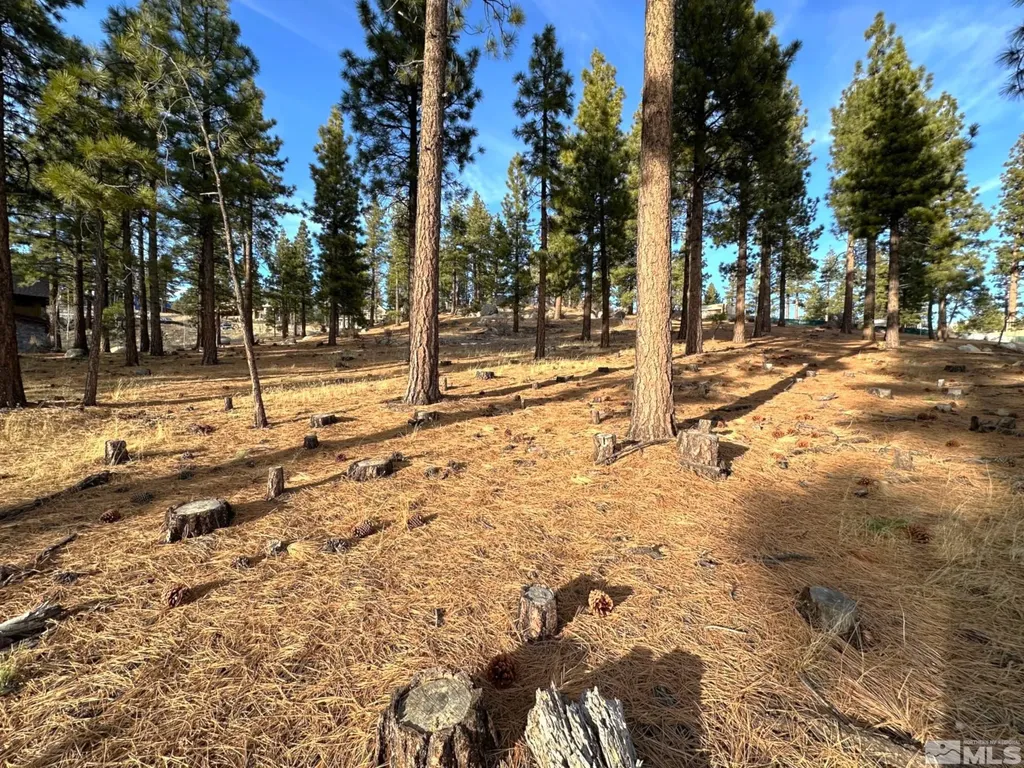 220 Overlook Carson City NV 89705