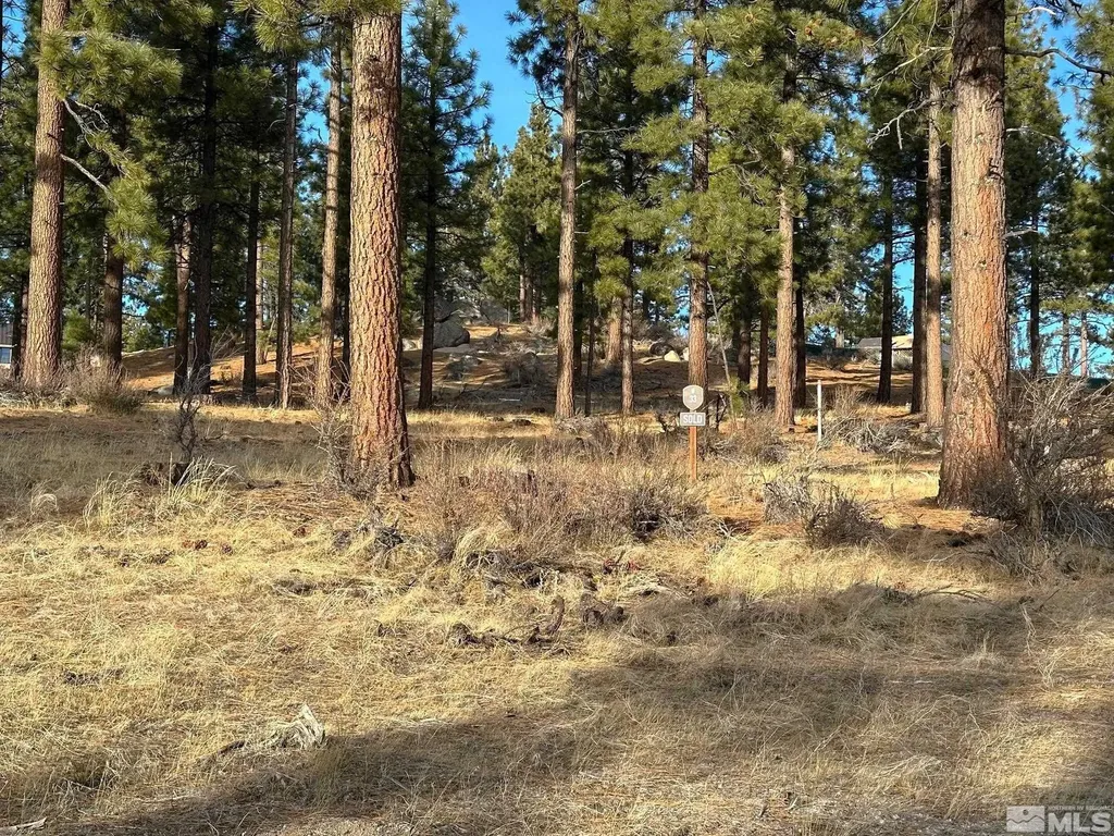 220 Overlook Carson City NV 89705
