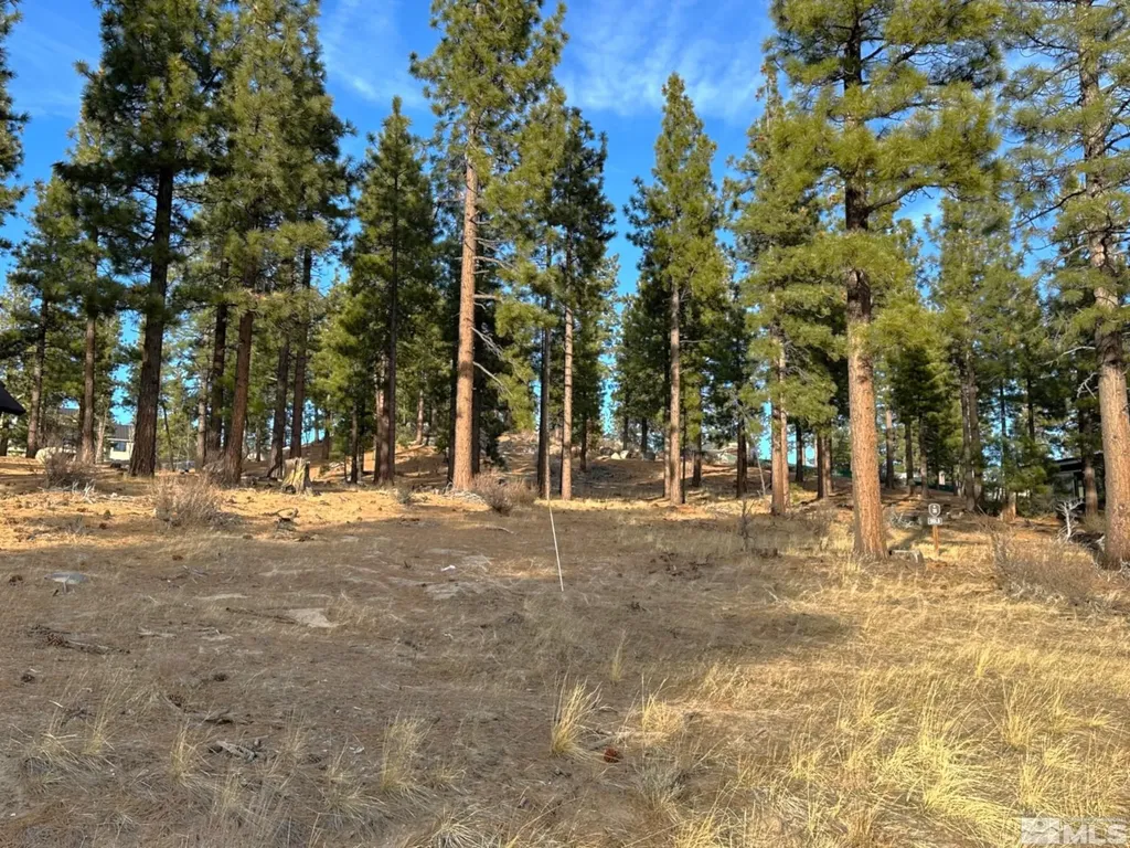 220 Overlook Carson City NV 89705