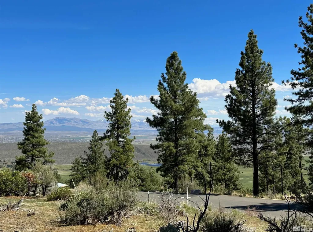 220 Overlook Carson City NV 89705