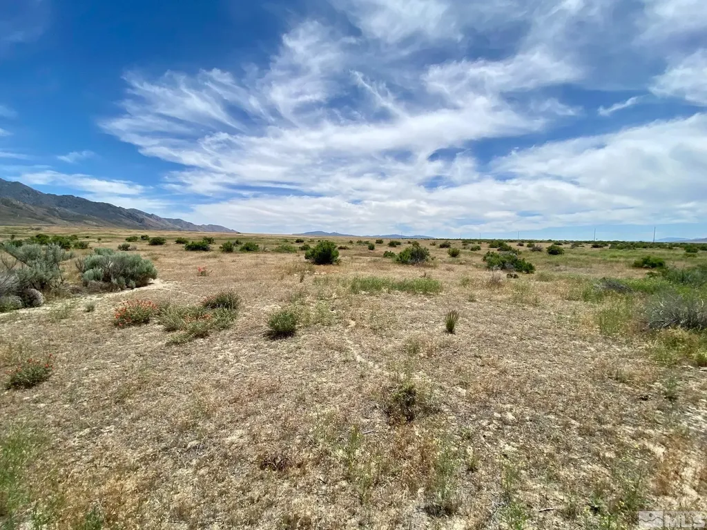 17030 Lancaster Lovelock NV 89419