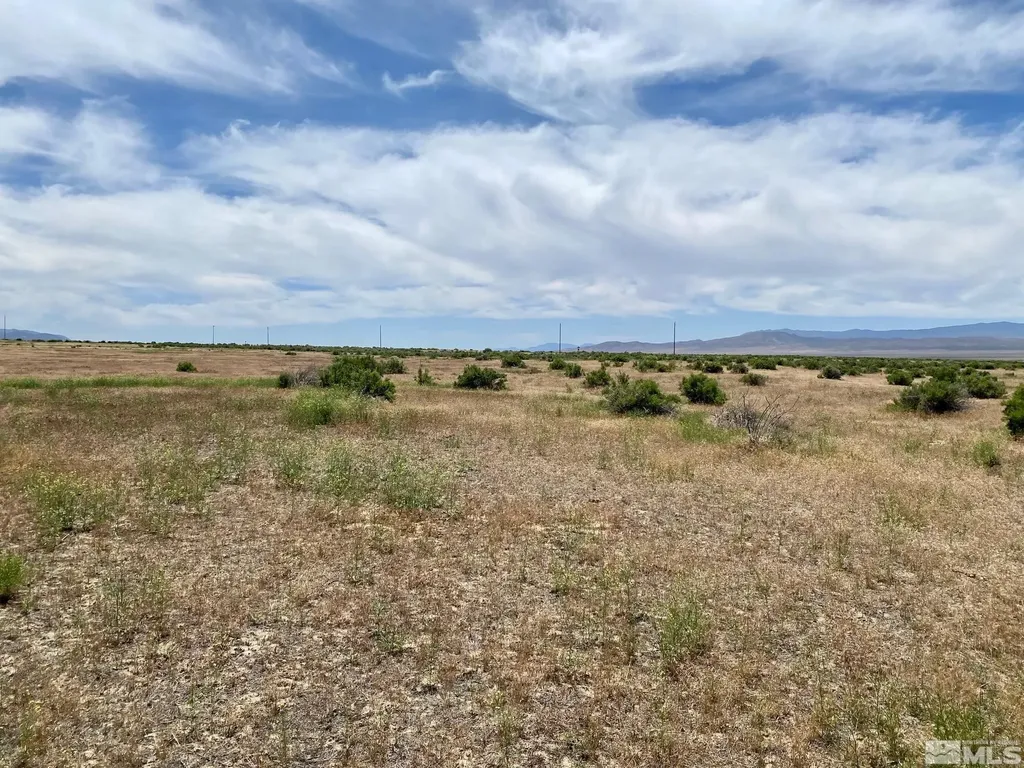 17030 Lancaster Lovelock NV 89419