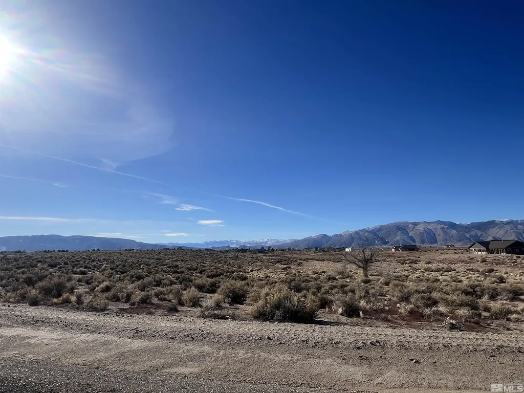 260 Mount Grant Smith NV 89430