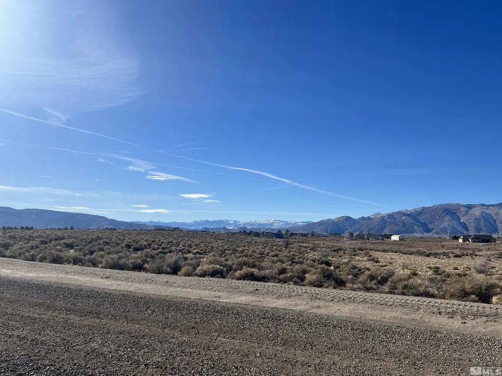 260 Mount Grant Smith NV 89430