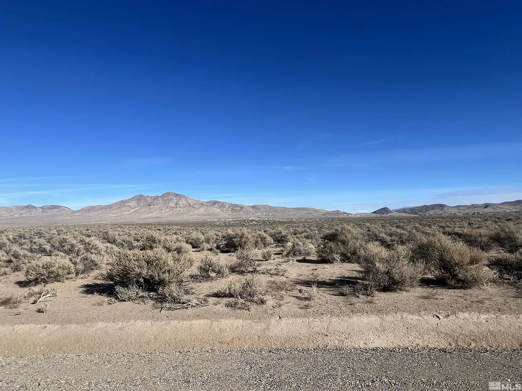 259 Mount Grant Smith NV 89430