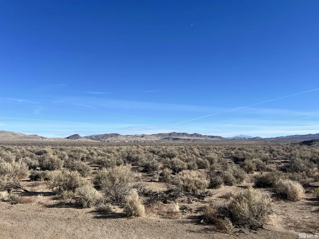 259 Mount Grant Smith NV 89430
