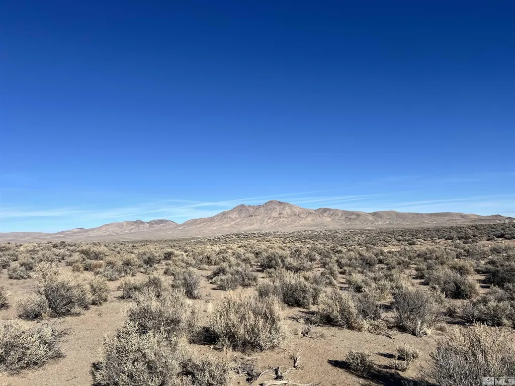 259 Mount Grant Smith NV 89430