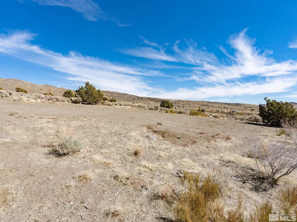 1250 Freds Reno NV 89508