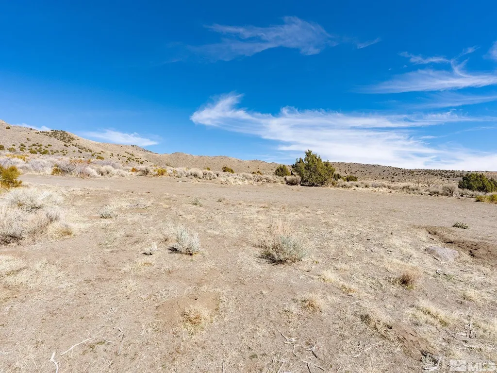 1250 Freds Reno NV 89508