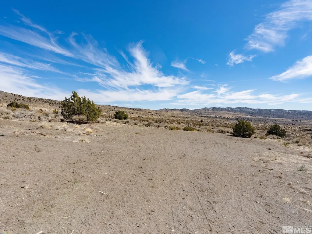 1250 Freds Reno NV 89508