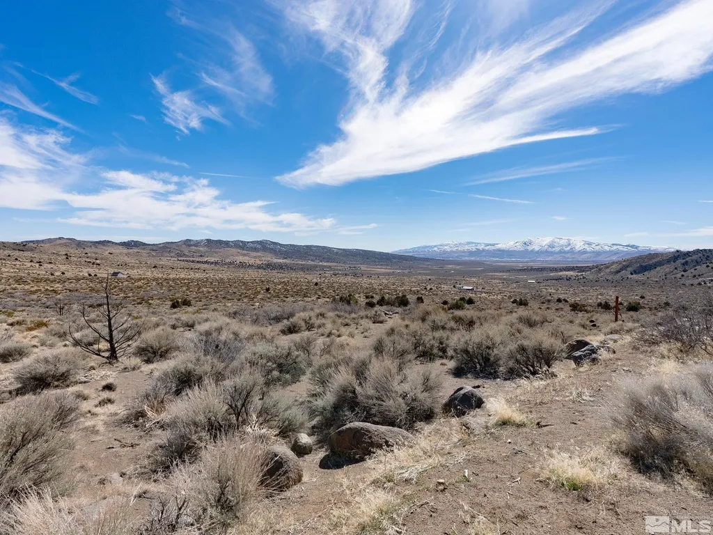 1250 Freds Reno NV 89508