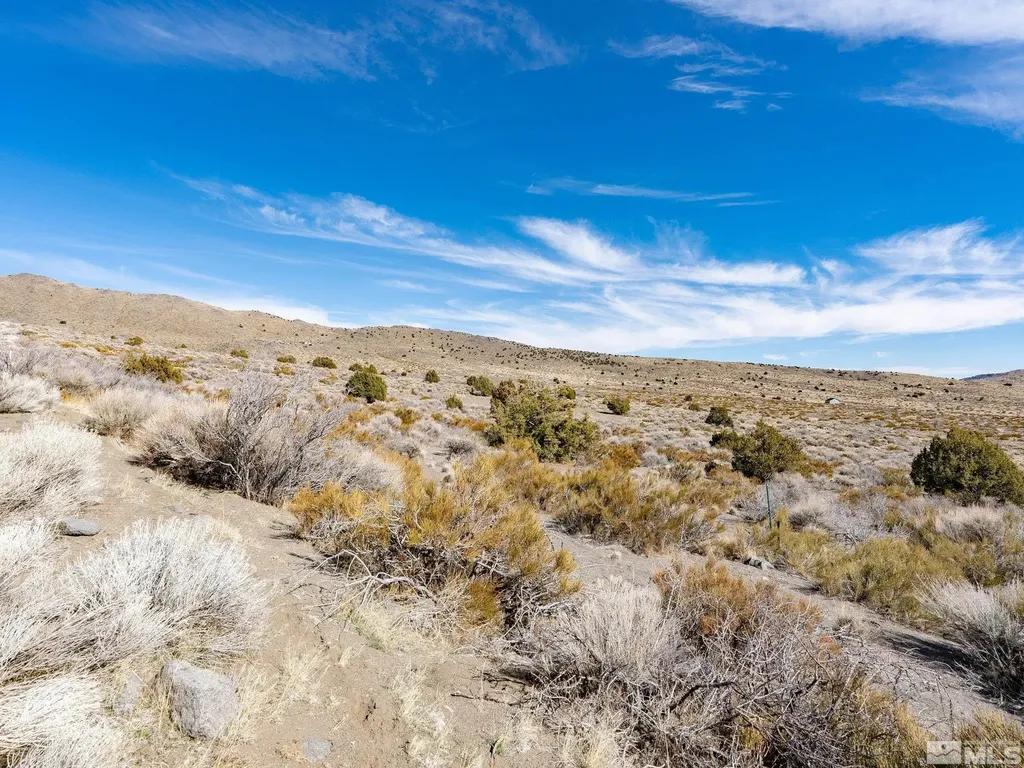 1250 Freds Reno NV 89508