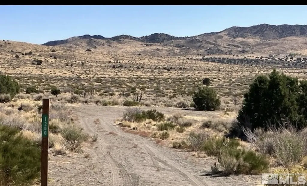 1250 Freds Reno NV 89508