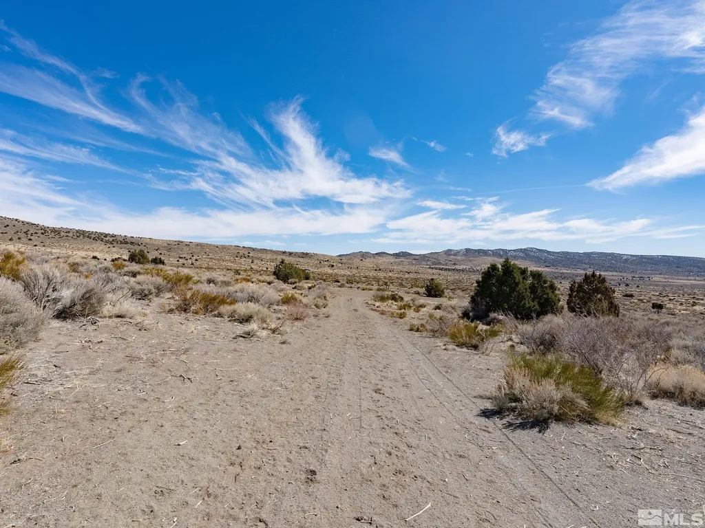 1250 Freds Reno NV 89508