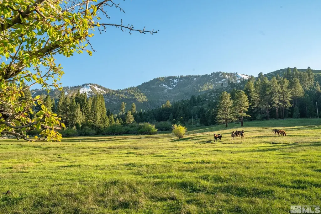 6995 Franktown Washoe Valley NV 89704
