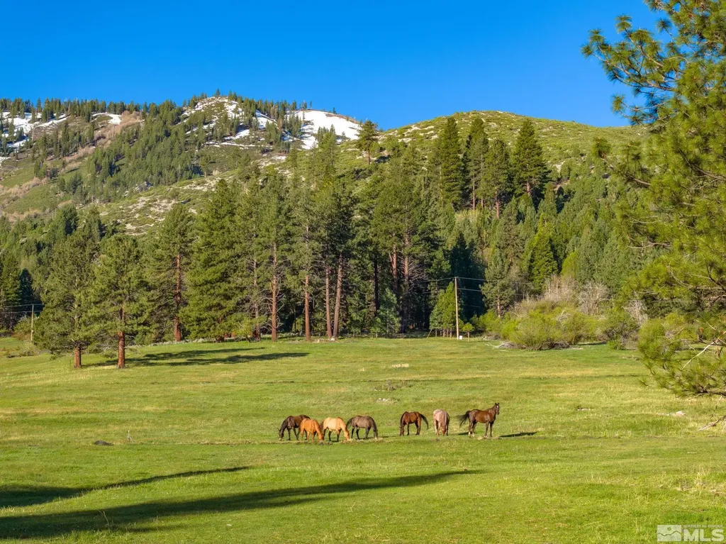 6995 Franktown Washoe Valley NV 89704