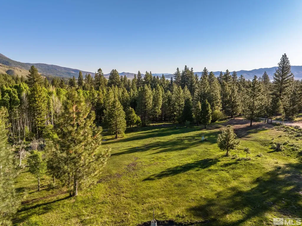6995 Franktown Washoe Valley NV 89704