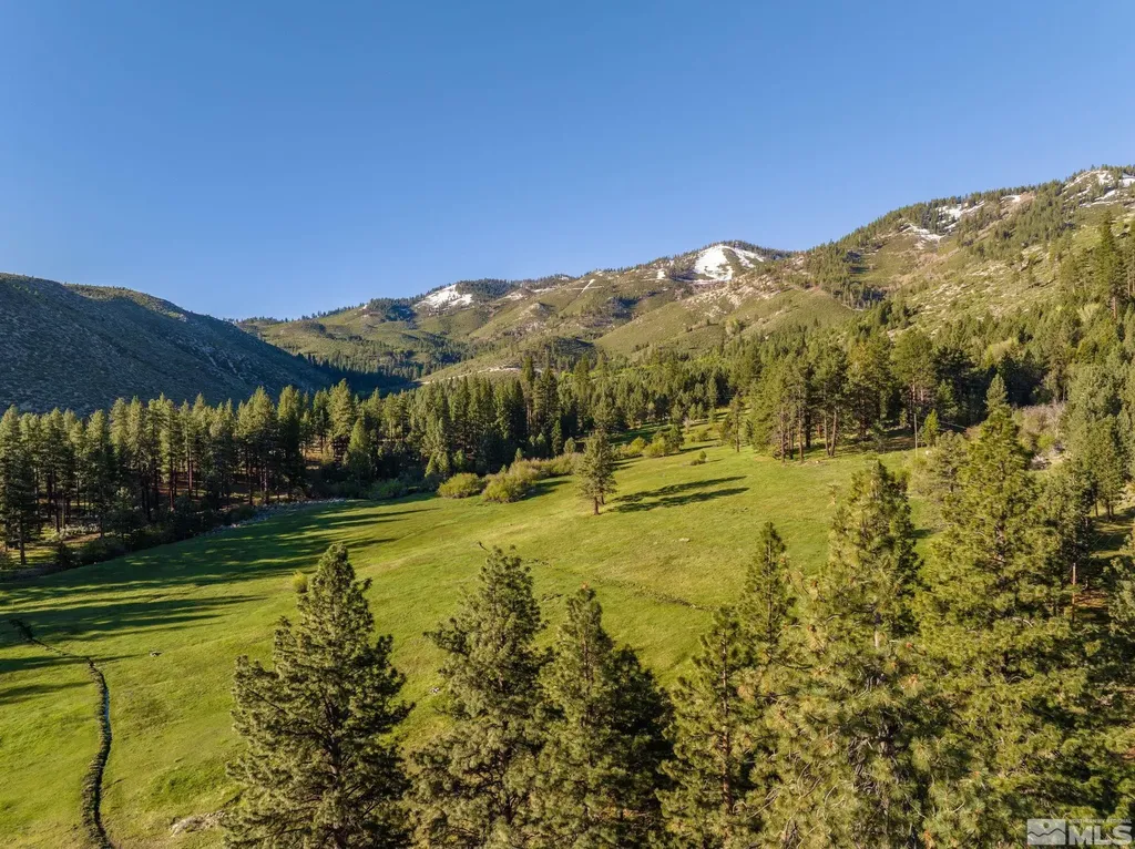 6995 Franktown Washoe Valley NV 89704