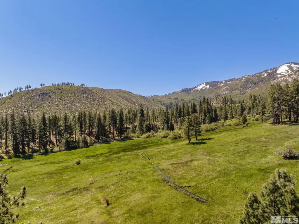 6995 Franktown Washoe Valley NV 89704