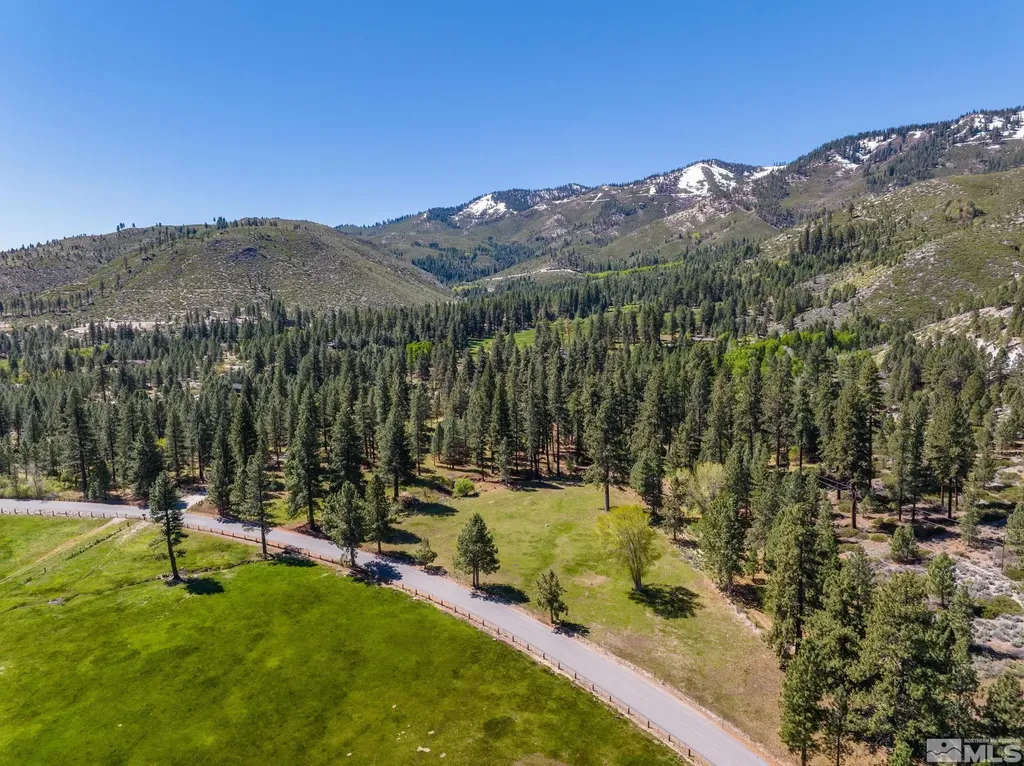 6995 Franktown Washoe Valley NV 89704