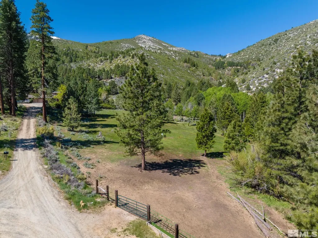 6995 Franktown Washoe Valley NV 89704