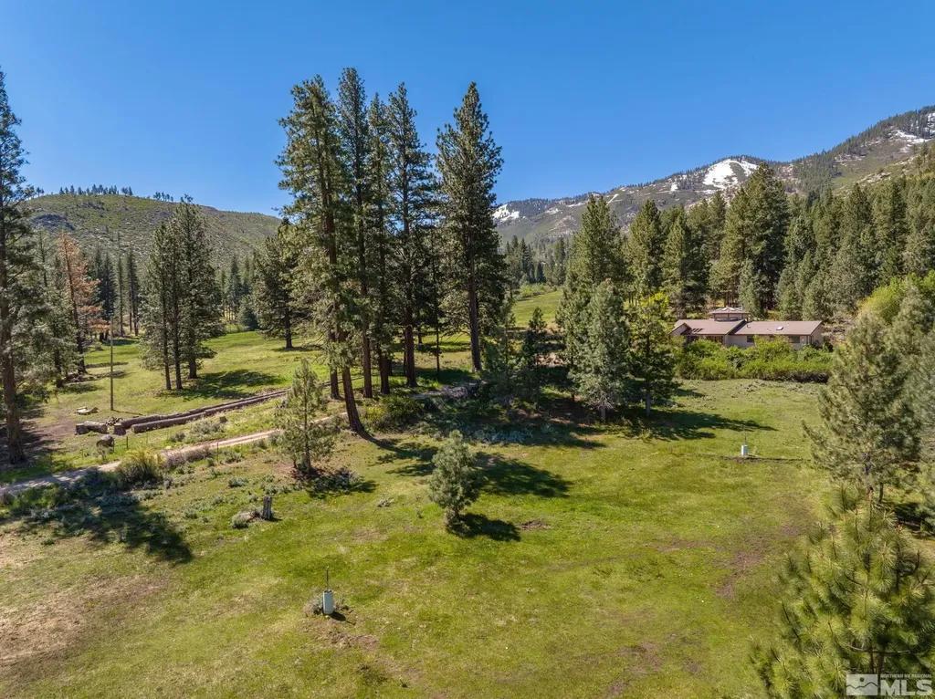 6995 Franktown Washoe Valley NV 89704