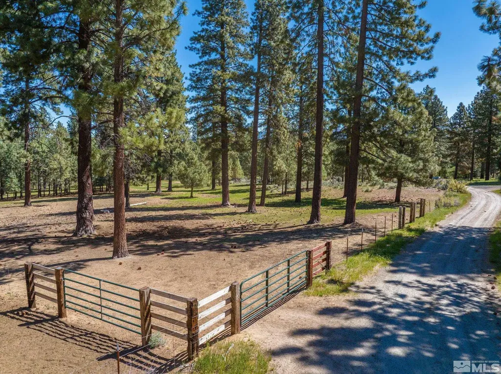 6995 Franktown Washoe Valley NV 89704