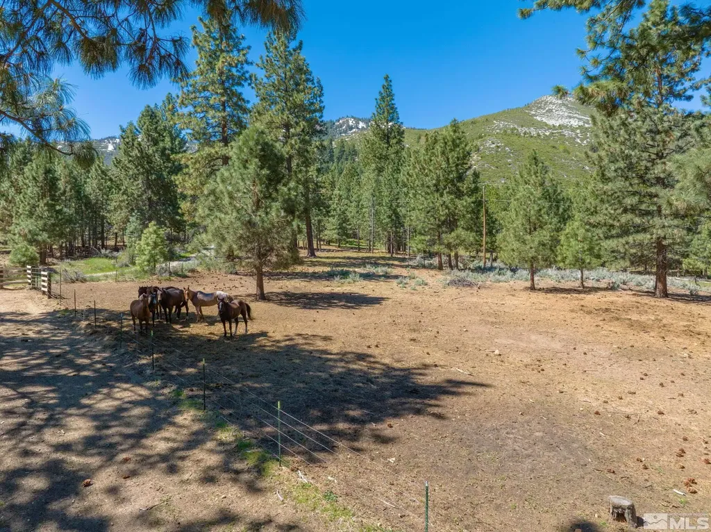 6995 Franktown Washoe Valley NV 89704