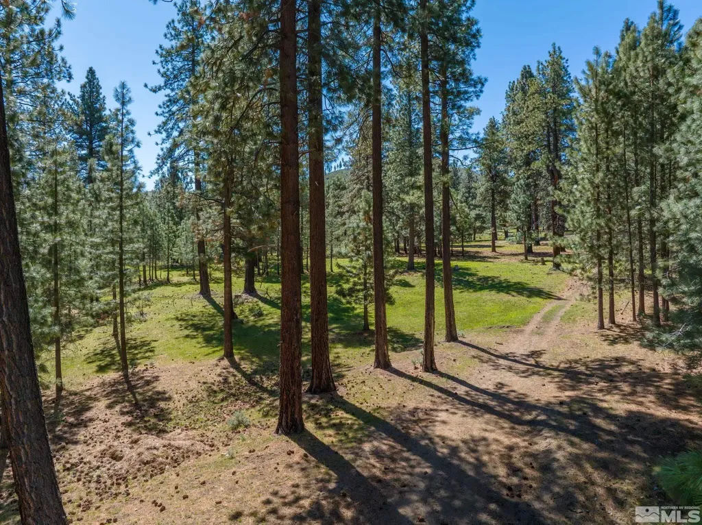 6995 Franktown Washoe Valley NV 89704