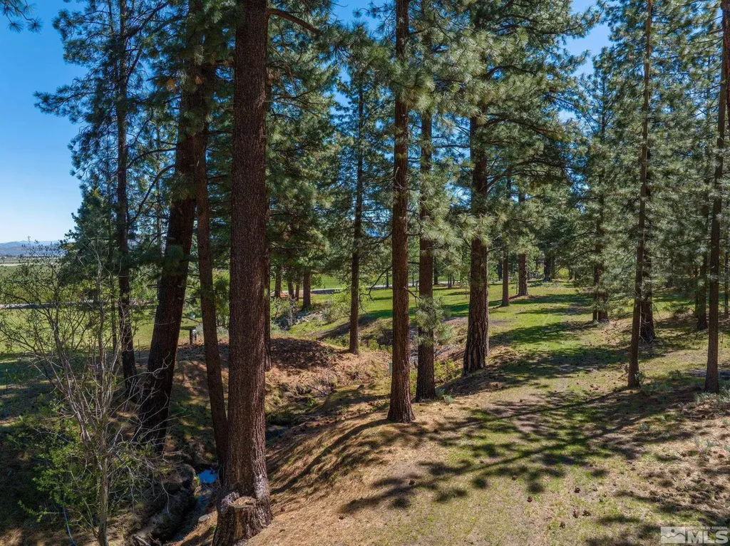 6995 Franktown Washoe Valley NV 89704