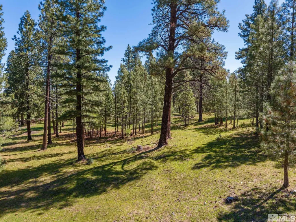 6995 Franktown Washoe Valley NV 89704