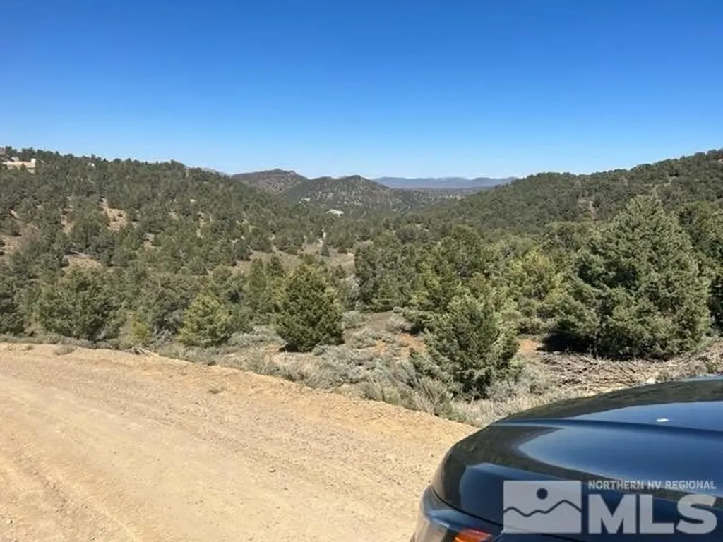 1540 Yellowjacket Reno NV 89521