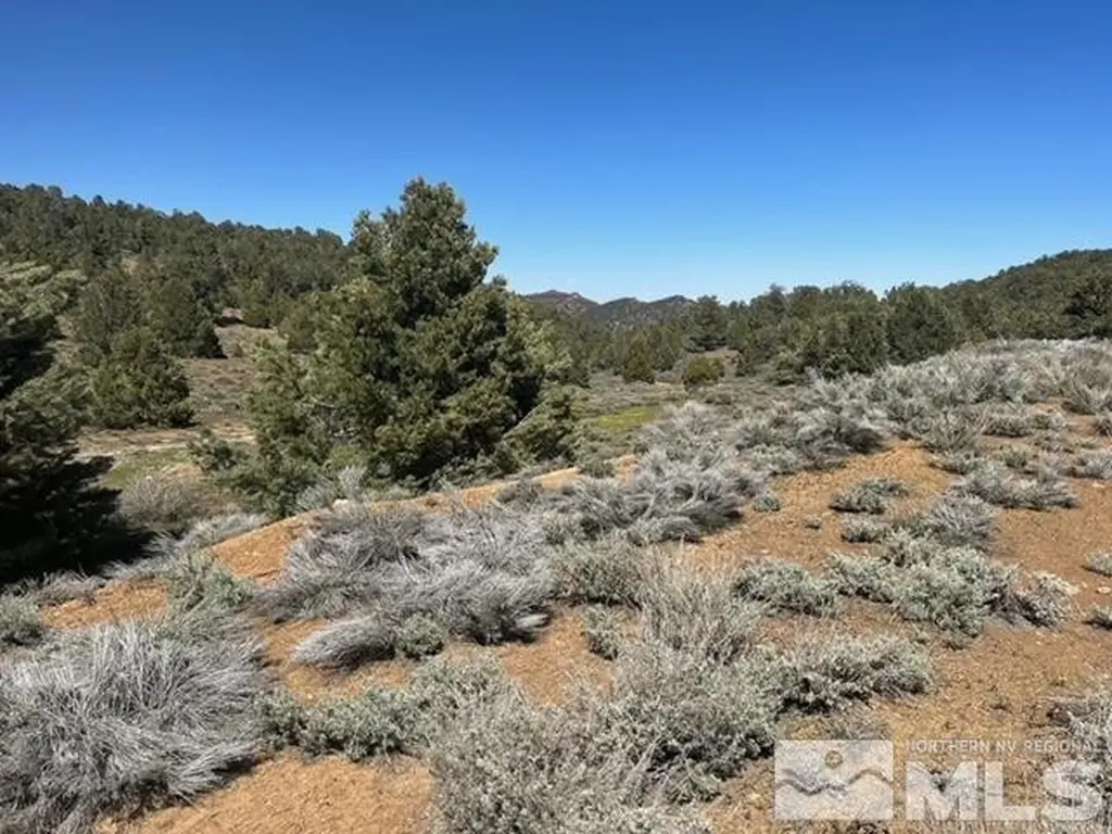 1540 Yellowjacket Reno NV 89521