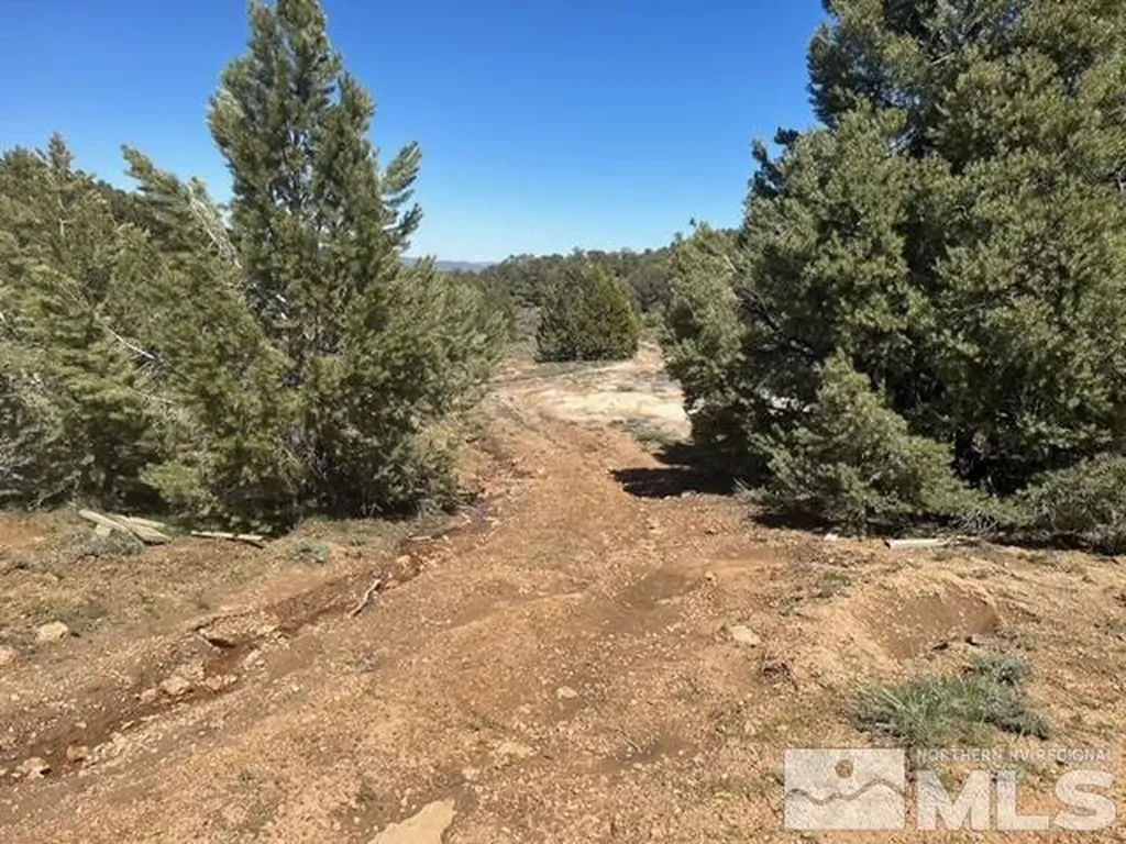 1540 Yellowjacket Reno NV 89521