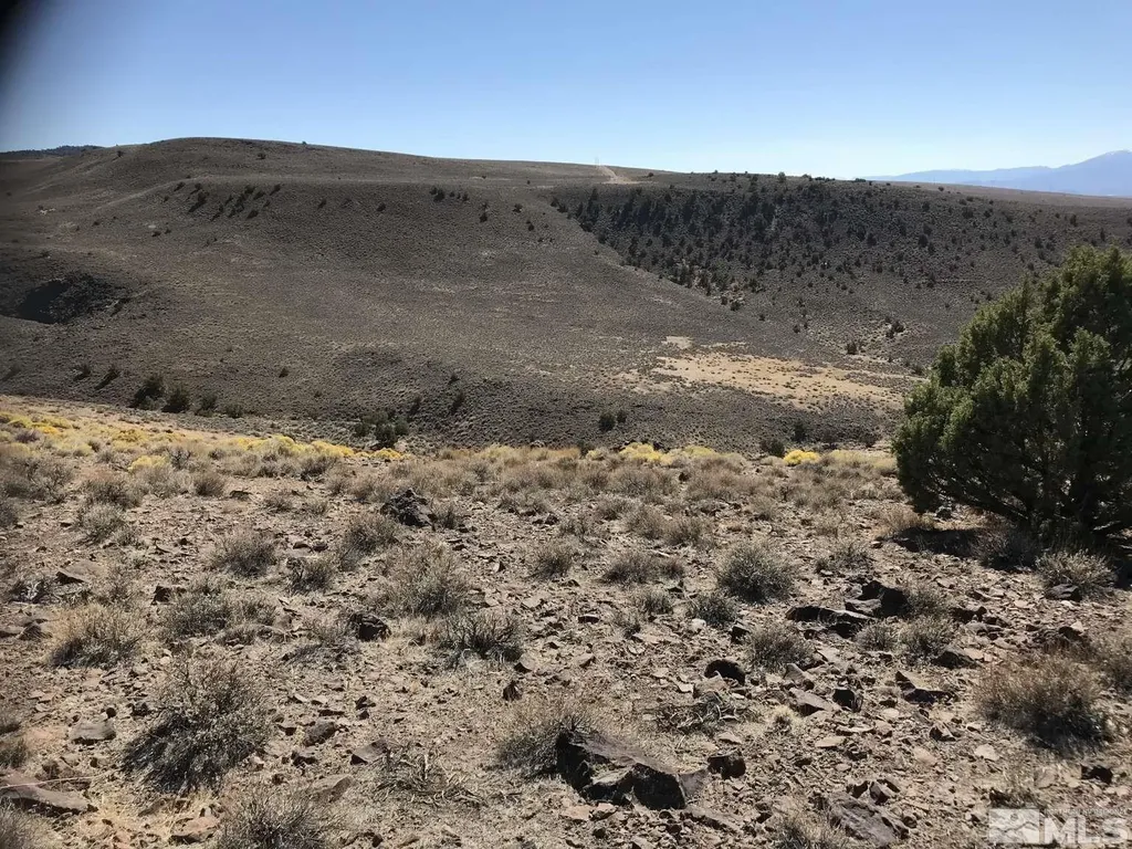 0 Detar Sparks NV 89441