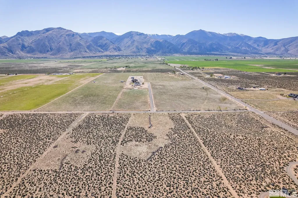 16 Hawk View Wellington NV 89444