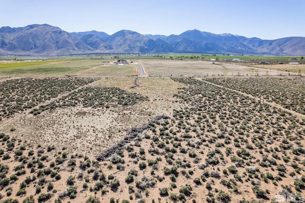 16 Hawk View Wellington NV 89444