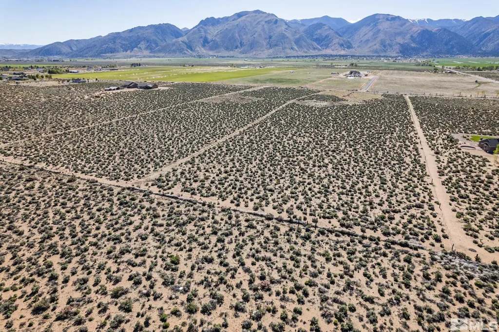 16 Hawk View Wellington NV 89444