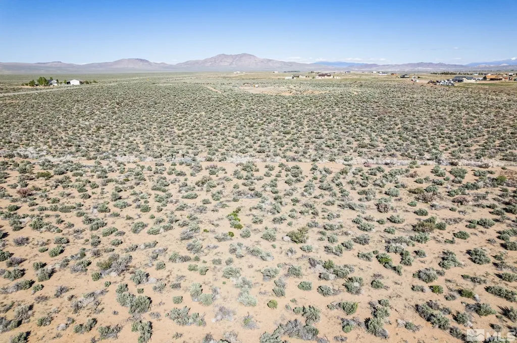 16 Hawk View Wellington NV 89444