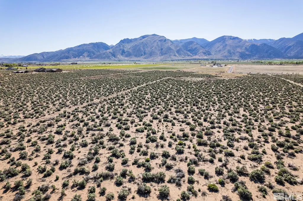 16 Hawk View Wellington NV 89444
