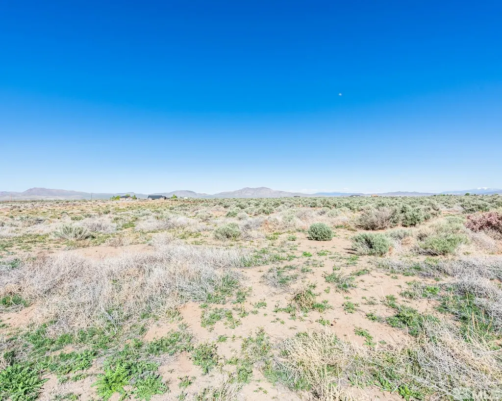 16 Hawk View Wellington NV 89444