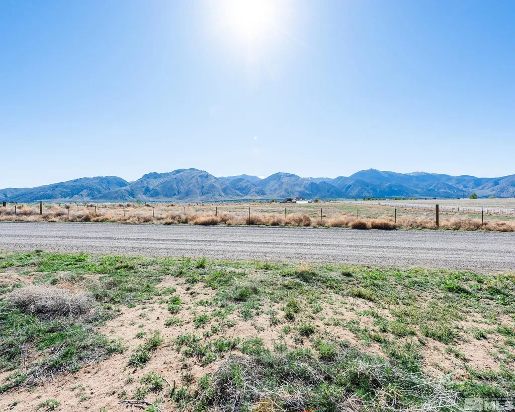 16 Hawk View Wellington NV 89444