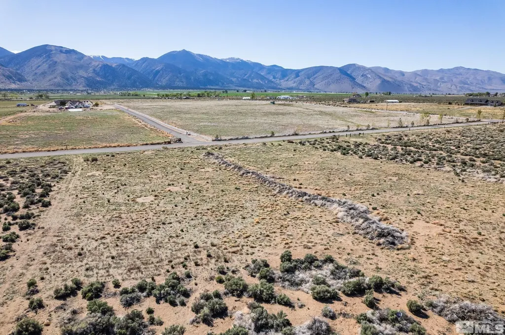16 Hawk View Wellington NV 89444