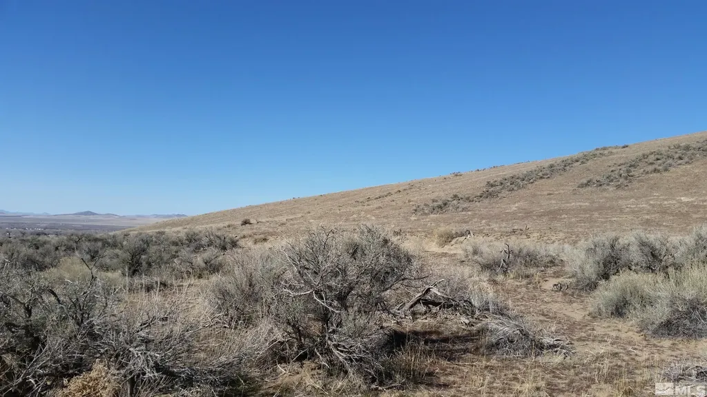 0 Lupine Winnemucca NV 89445