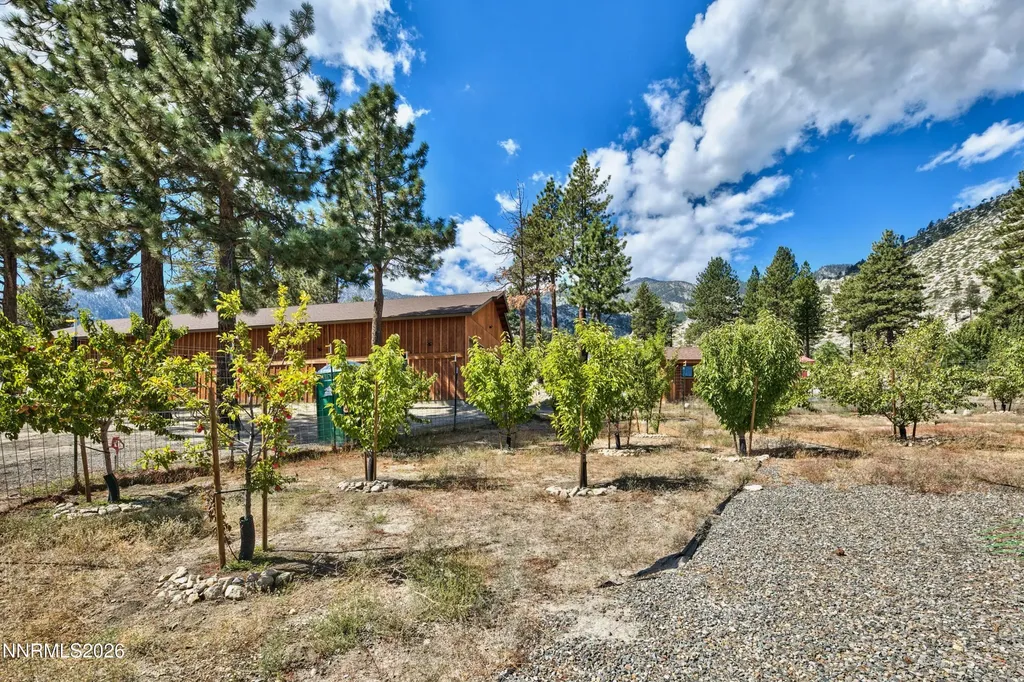 164 Mott Creek Gardnerville NV 89460