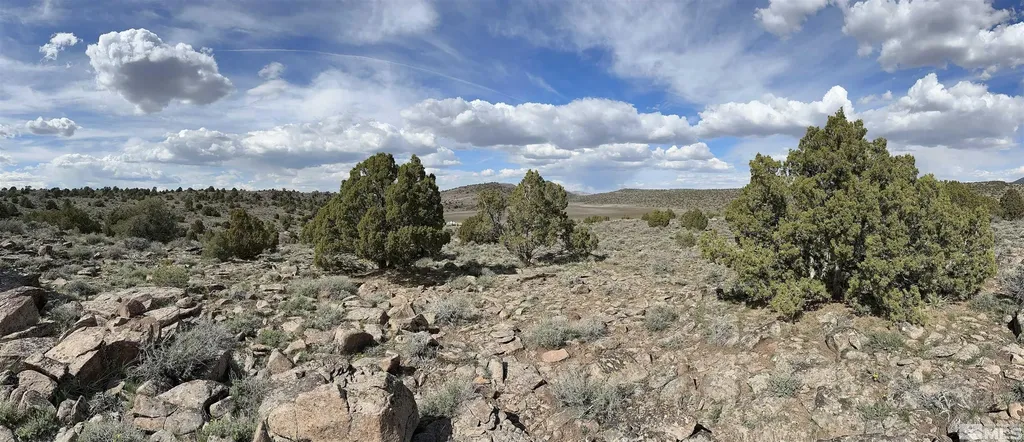 3520 Dry Lake Reno NV 89521