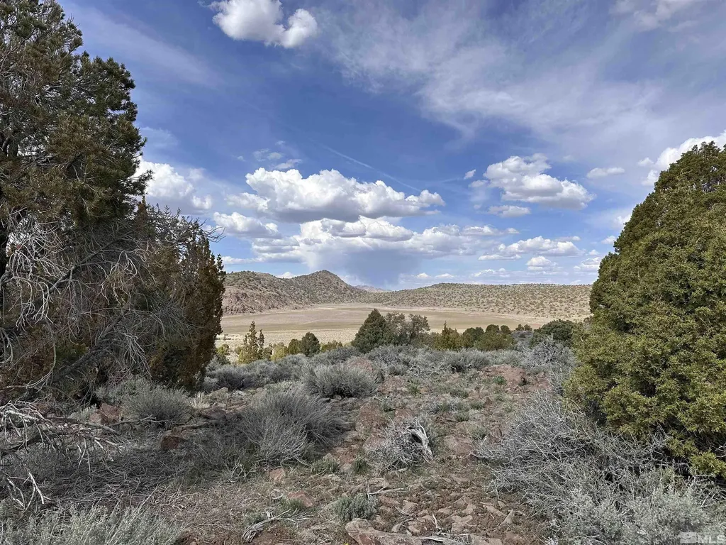 3520 Dry Lake Reno NV 89521