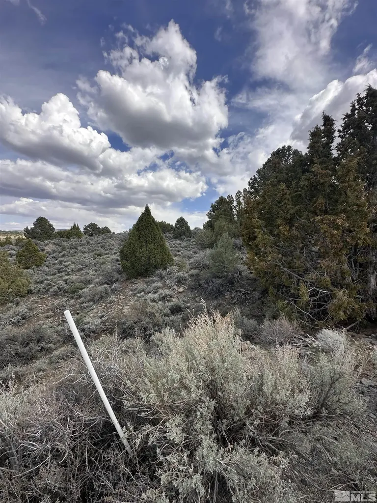 3520 Dry Lake Reno NV 89521